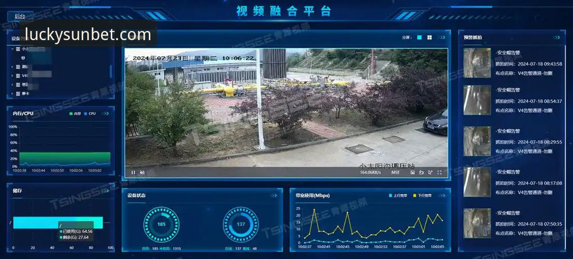 新利体育平台靠谱吗？实战派深度分析与全面解析